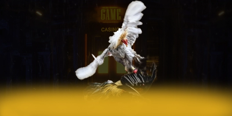 LC88 – Sảnh game phổ biến nhất, được người chơi yêu thích.