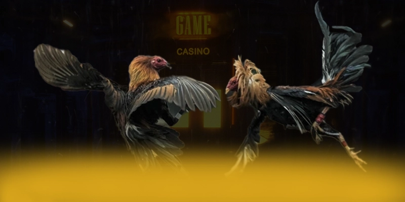 
Tìm hiểu DAGA88 - Cổng giải trí có thưởng lớn hiện nay
