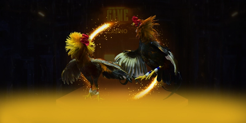 N88 - Tổng hợp đánh giá một cách toàn diện.