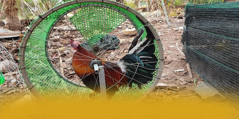 FAFA191 – Cổng cá cược đáng chơi nhất, được giới cược thủ đánh giá cao.