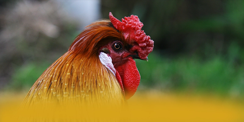 AU88 - Cổng trò chơi cung cấp hàng trăm tựa game đẳng cấp được giới cược thủ tin tưởng – Trải nghiệm AU88