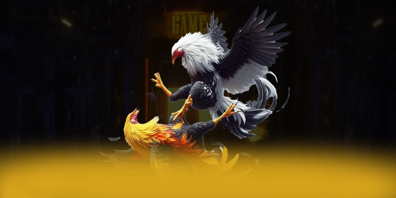 NK88 - Nhà cái mượt mà 2025