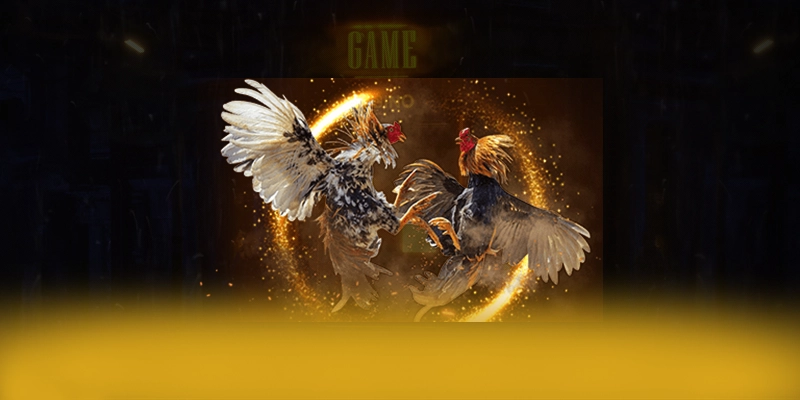 F8BET - Nhà cái có tỷ lệ kèo đem lại lợi nhuận tối đa cho người chơi F8BET - Nhà cái có tỷ lệ kèo đem lại lợi nhuận tối đa cho người chơi