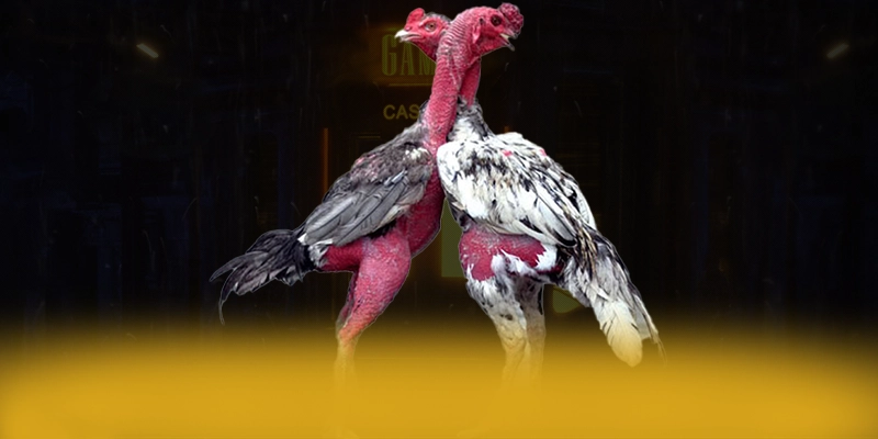 Gioi thieu soi kèo bóng đá - Trang game pho bien nhat so 1 Viet Nam Gioi thieu soi kèo bóng đá - Trang game pho bien nhat so 1 Viet Nam