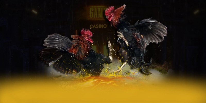Đánh giá toàn diện 8XBET - Nhà cái trực tuyến uy tín số 1 trên thị trường Đánh giá toàn diện 8XBET - Nhà cái trực tuyến uy tín số 1 trên thị trường