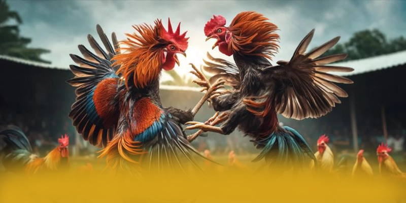 Hệ thống tư vấn viên tại BET168