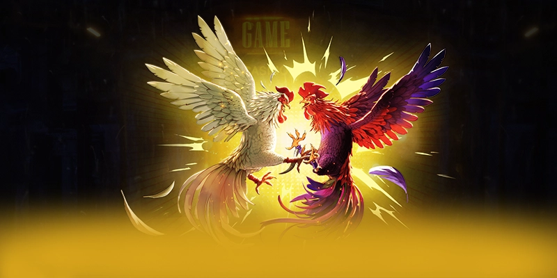 Nhận xét từ cộng đồng người chơi về 8XBET Nhận xét từ cộng đồng người chơi về 8XBET